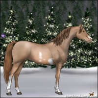 Horse Color:Liver Red Roan Pearl Tobiano Frame 