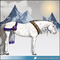 Horse Color:Bay Roan Leopard 