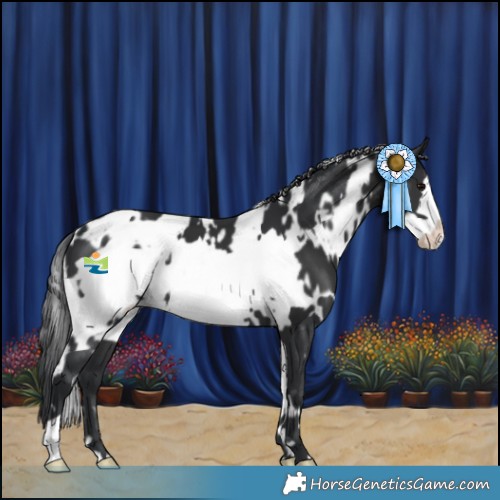 Horse Color:White Spotted Black Frame 
