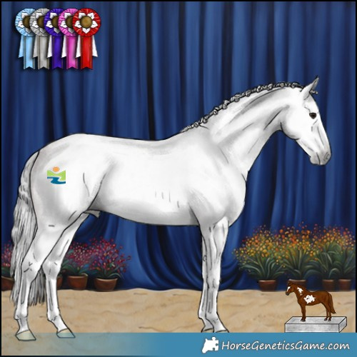 Horse Color:Gray Bay Roan Splash Frame Rabicano 