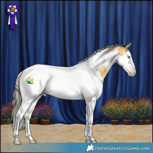 Horse Color:Amber Cream Champagne Splash Tobiano Frame Rabicano 