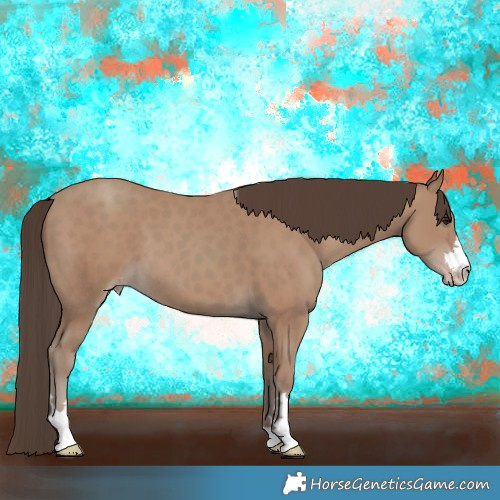 Horse Color:Classic Champagne 