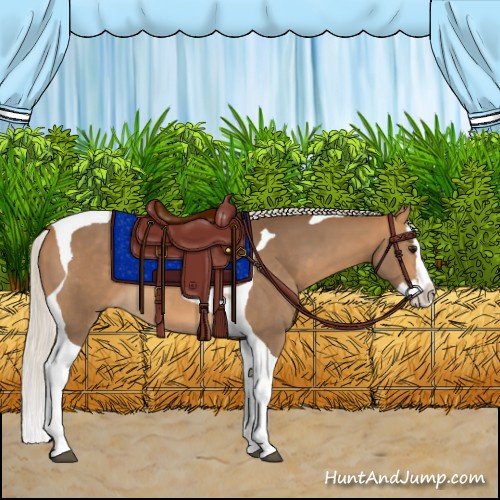 Horse Color:Silver Buckskin Splash Tobiano 