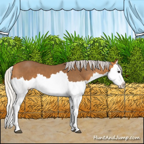 Horse Color:Silver Buckskin Splash 