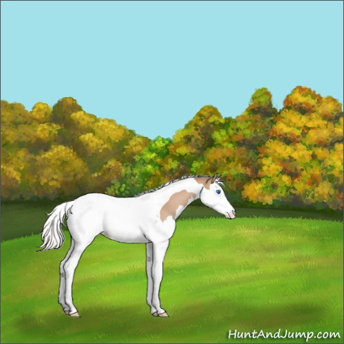 Horse Color:Silver Brown Dun Splash Tobiano 
