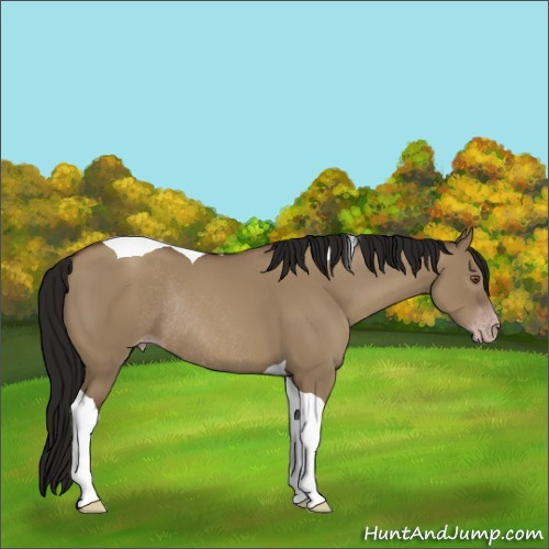 Horse Color:Gray Classic Champagne Dun Tobiano Rabicano 