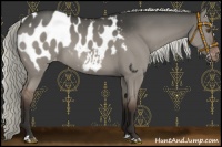Horse Color:Liver Red Dun Mushroom Appaloosa