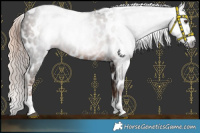 Horse Color:Gray Liver Chestnut Tobiano Appaloosa