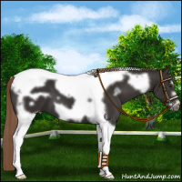 Horse Color:Liver Chestnut Tobiano Frame