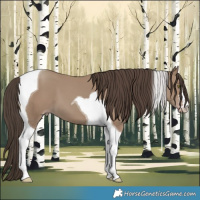 Horse Color:Classic Champagne Tobiano