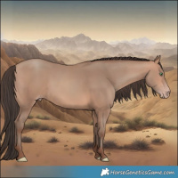 Horse Color:Amber Champagne