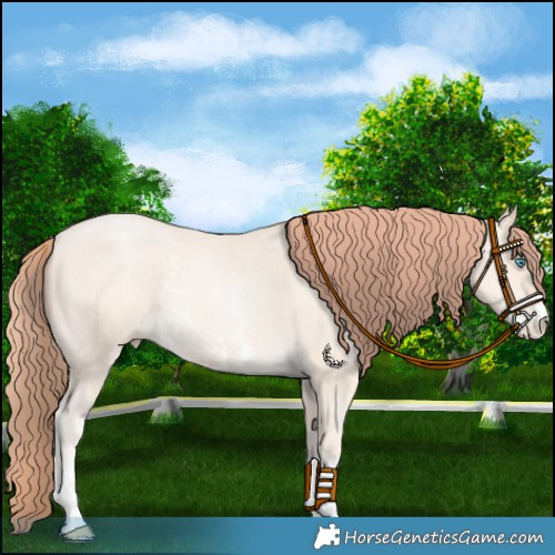 Horse Color:Sable Cream Champagne Pearl Sabino