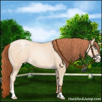 Horse Color:Sable Cream Champagne Pearl Sabino 