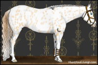 Horse Color:Chocolate Buckskin Pearl Leopard 