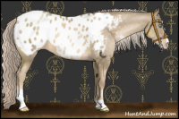 Horse Color:Chocolate Palomino Pearl Sabino Blanket 