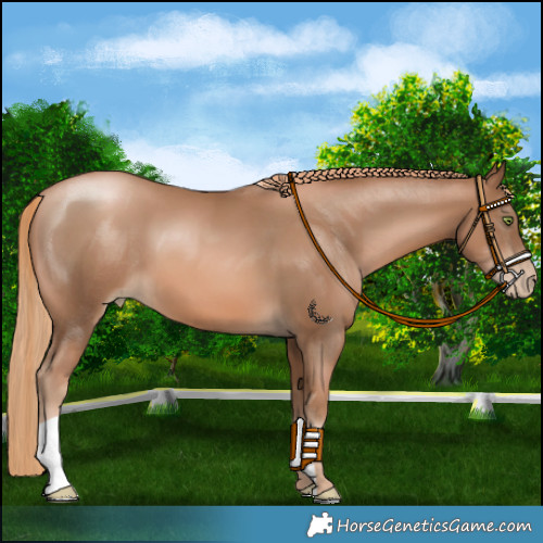 Horse Color:Liver Chestnut Pearl 