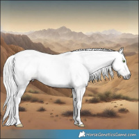 Horse Color:Gray Classic Champagne Dun 