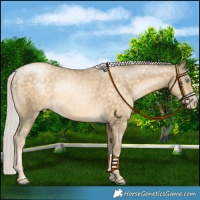 Horse Color:Chocolate Silver Buckskin Pearl Rabicano 