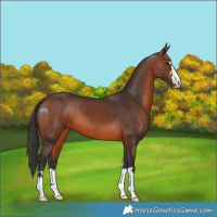 Horse Color:Brown 