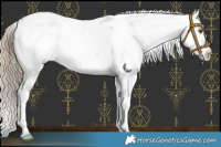 Horse Color:Chocolate Palomino Sabino Blanket 