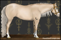 Horse Color:Chocolate Palomino Pearl Sabino