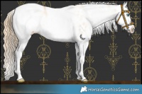 Horse Color:White Spotted Smoky Black Pearl Splash Near Leopard 