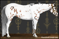Horse Color:Brown Tobiano Near Leopard 