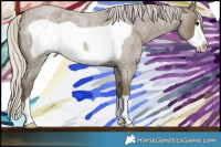 Horse Color:Silver Smoky Blue Roan Frame 