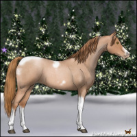 Horse Color:Red Roan Pearl Tobiano Frame 