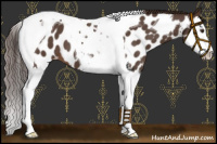 Horse Color:Liver Red Roan Splash Tobiano Near Leopard 