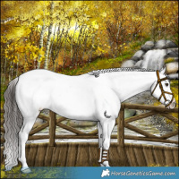 Horse Color:Liver Red Dun Sabino Varnish Brindle 