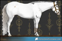 Horse Color:Liver Red Onyx Near Fewspot 