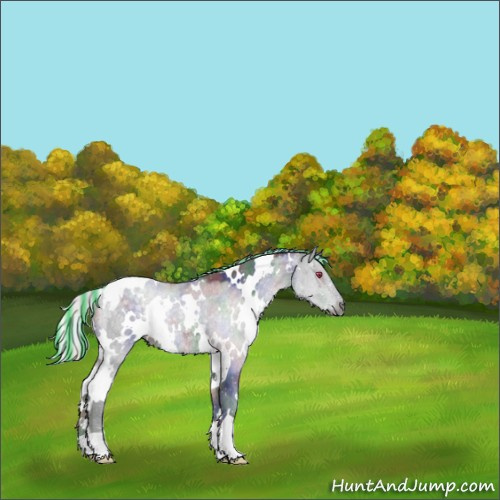 Horse Color:Painted Nacre White Spotted Silver Black Chinchilla 