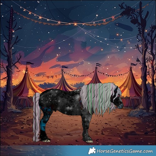 Horse Color:ERROR: UNKNOWN ANOMALY