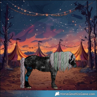 Horse Color:ERROR: UNKNOWN ANOMALY