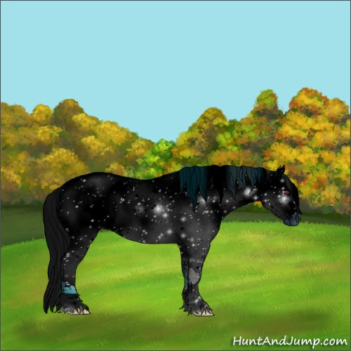 Horse Color:ERROR: UNKNOWN ANOMALY