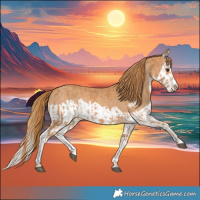 Horse Color:Chestnut Splash Frame and Chestnut Splash Frame