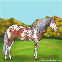 Horse Color:Nacre Silver Bay Splash Tobiano 