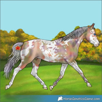 Horse Color:Nacre Silver Amber Champagne Splash Tobiano