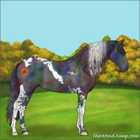 Horse Color:Nacre Black Tobiano 