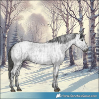 Horse Color:Blue Ice Roan  and Gray Blue Ice Roan 