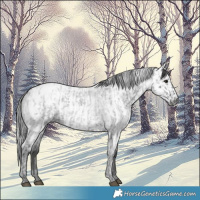 Horse Color:Blue Ice Roan and Gray Blue Ice Roan