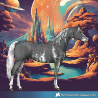 Horse Color:Gray Midnight Chestnut Chinchilla Ice Sabino