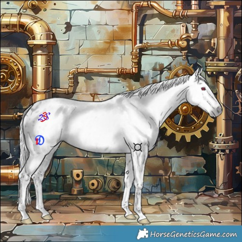 Horse Color:Gray Midnight Chestnut Chinchilla Ice Sabino Appaloosa 