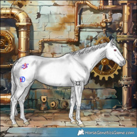 Horse Color:Gray Midnight Chestnut Chinchilla Ice Sabino Appaloosa 