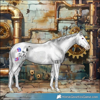 Horse Color:Midnight Silver Bay Chinchilla Ice Splash Tobiano Appaloosa 