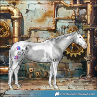 Horse Color:Midnight Silver Bay Chinchilla Ice Splash Tobiano Appaloosa