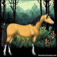 Horse Color:Gray Buckskin 