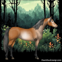 Horse Color:Gray Buckskin 
