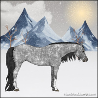 Horse Color:Blue Ice Roan  and Blue Ice Roan 